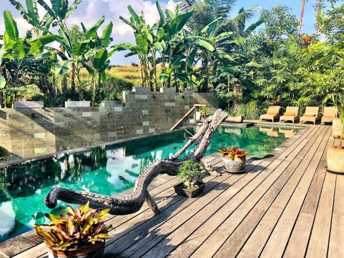 Dragon House - Your Dream House In Bali! Убуд Экстерьер фото
