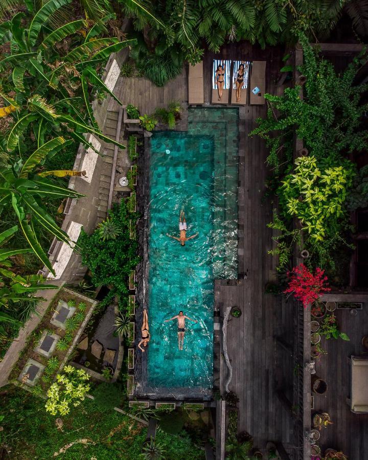 Dragon House - Your Dream House In Bali! Убуд Экстерьер фото